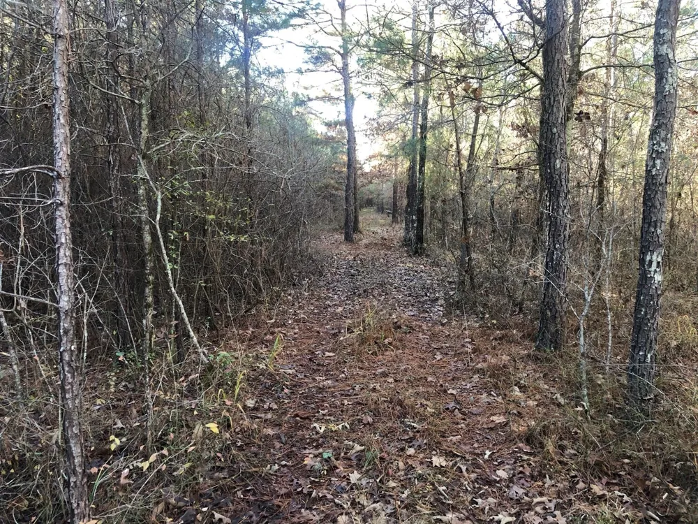 Highway 160 Plain Dealing, LA 71064