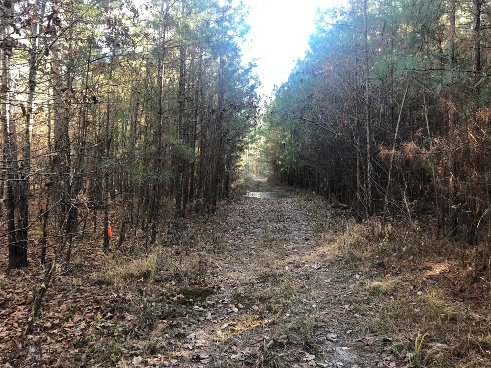 Highway 160 Plain Dealing, LA 71064