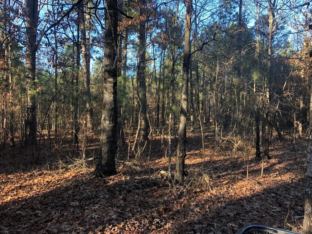 Highway 160 Plain Dealing, LA 71064