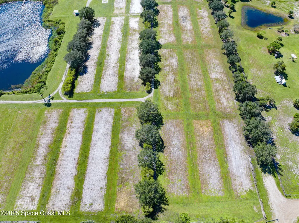 Berry Road Grant-Valkaria, FL 32949