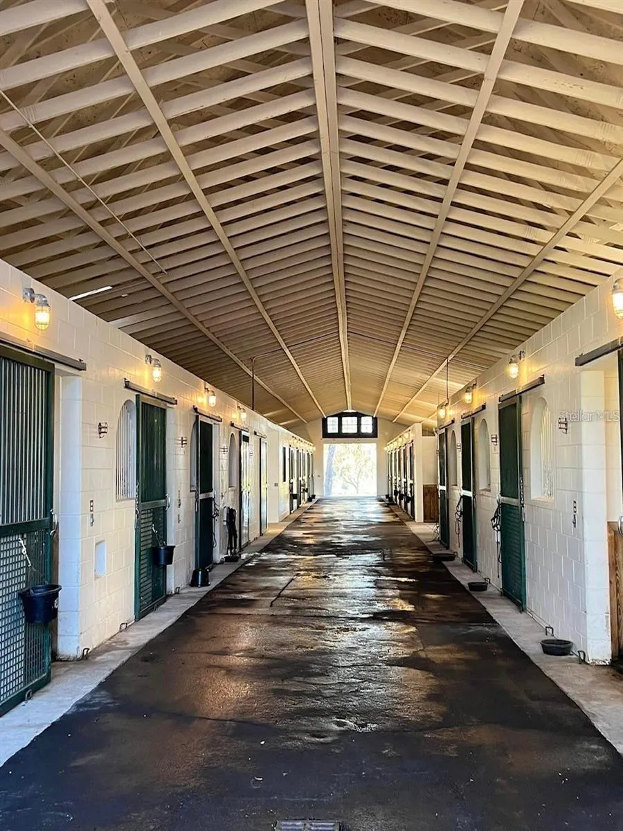 5540 SE 157TH STREET ROAD #(Option 1) Summerfield, FL 34491