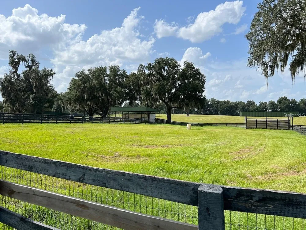 5540 SE 157TH STREET ROAD #(Option 1) Summerfield, FL 34491