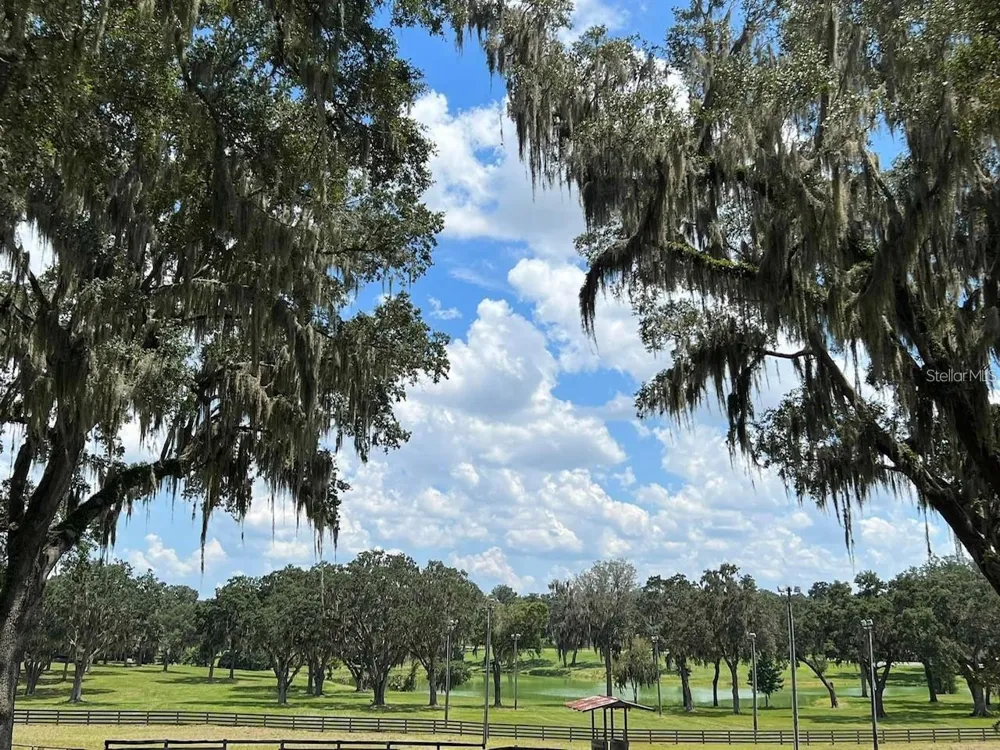 5540 SE 157TH STREET ROAD #(Option 1) Summerfield, FL 34491