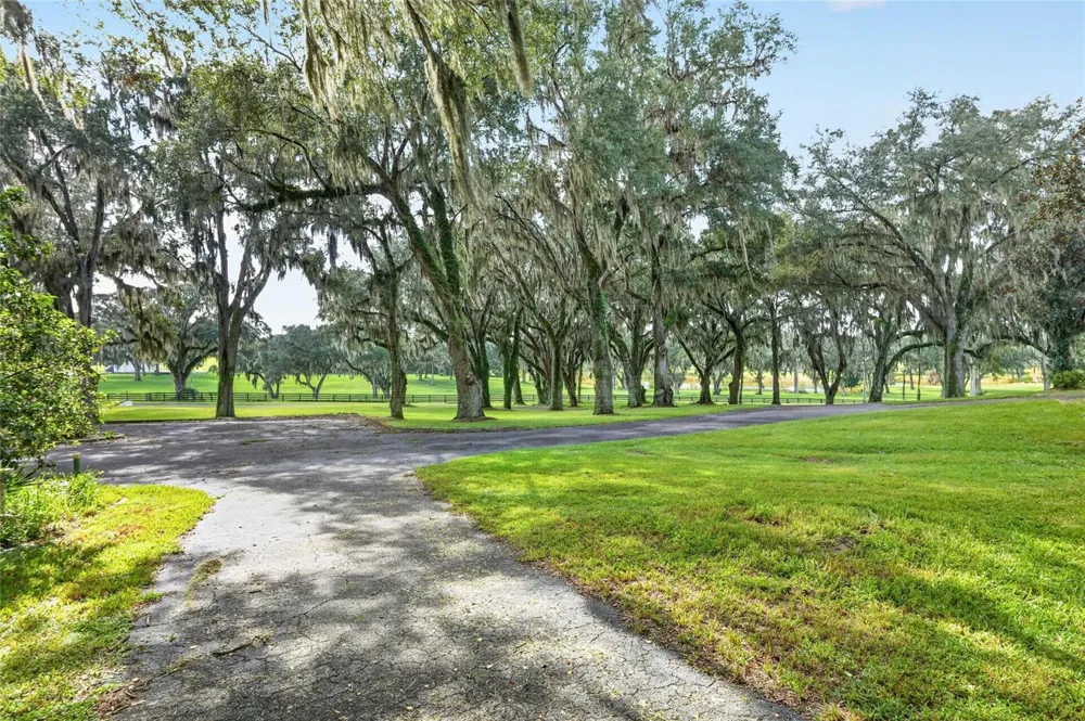5540 SE 157TH STREET ROAD #(Option 1) Summerfield, FL 34491
