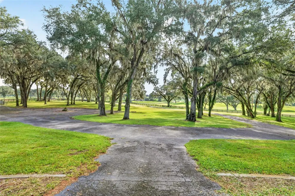 5540 SE 157TH STREET ROAD #(Option 1) Summerfield, FL 34491