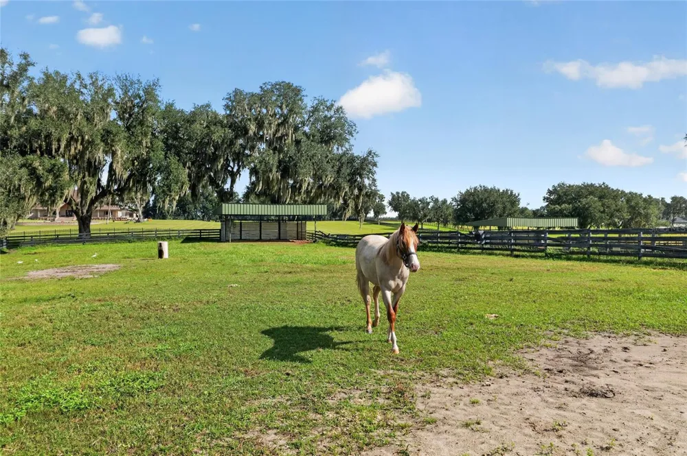 5540 SE 157TH STREET ROAD #(Option 1) Summerfield, FL 34491