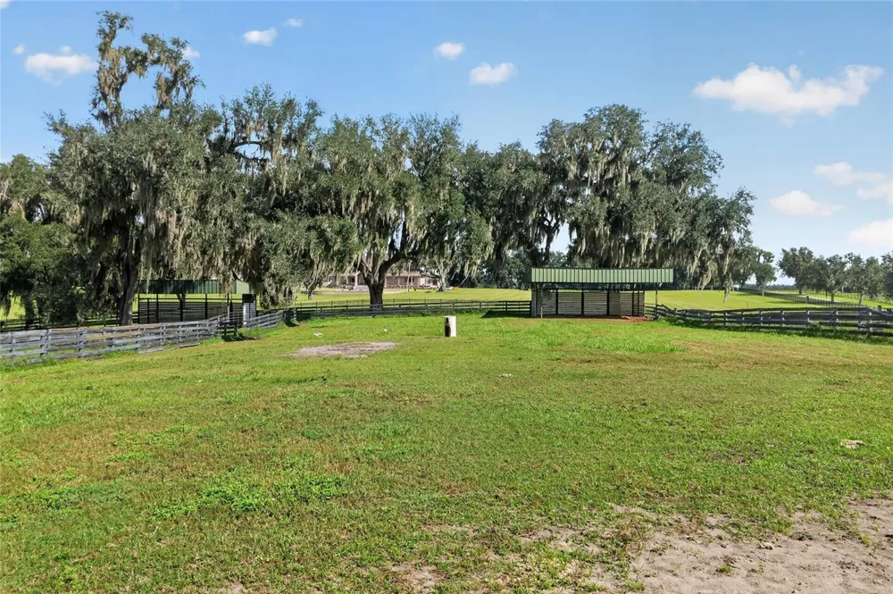 5540 SE 157TH STREET ROAD #(Option 1) Summerfield, FL 34491