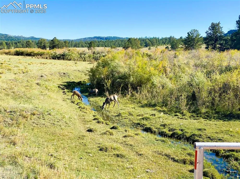 Rosebush Road Canon City, CO 81212