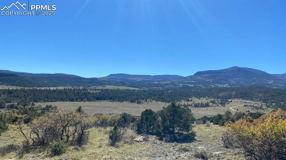 Rosebush Road Canon City, CO 81212
