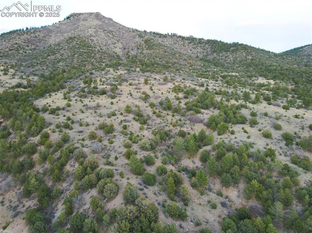 Rosebush Road Canon City, CO 81212