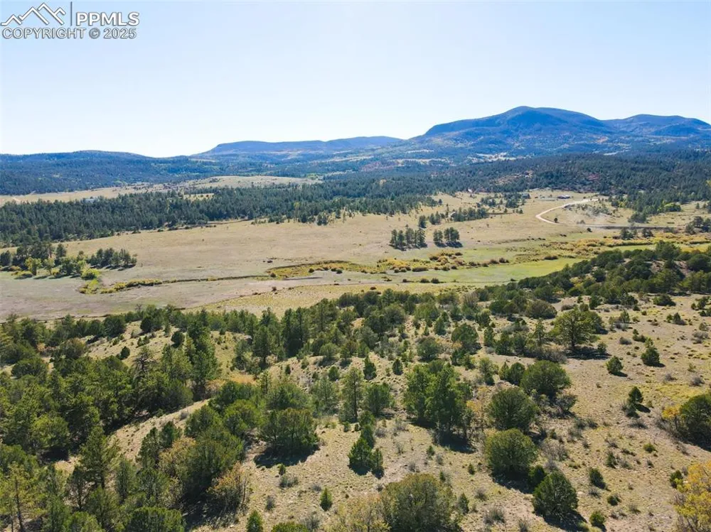 Rosebush Road Canon City, CO 81212