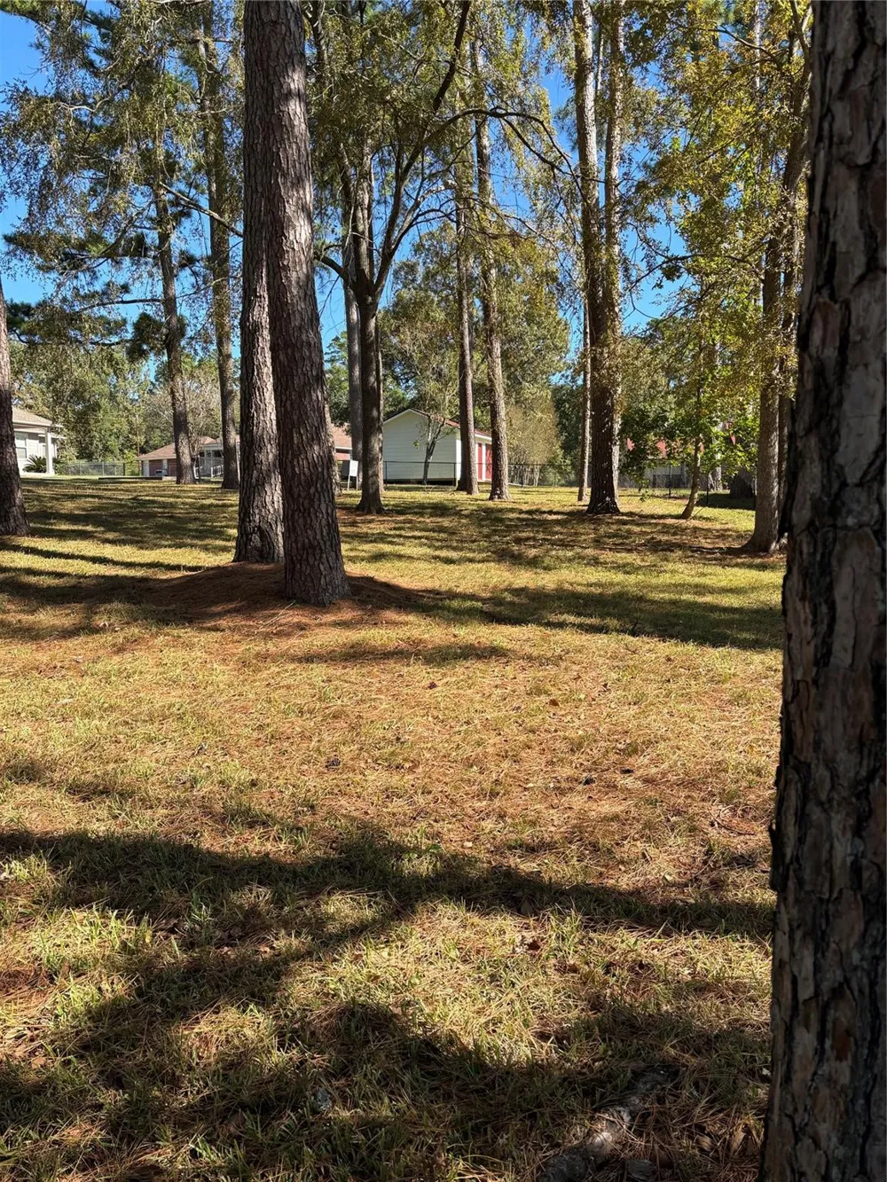 Bridgelanding---Lot 54 Onalaska, TX 77360