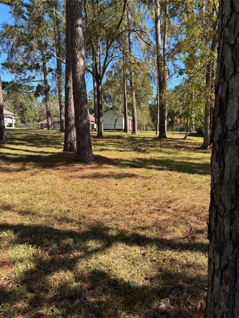 Bridgelanding---Lot 54