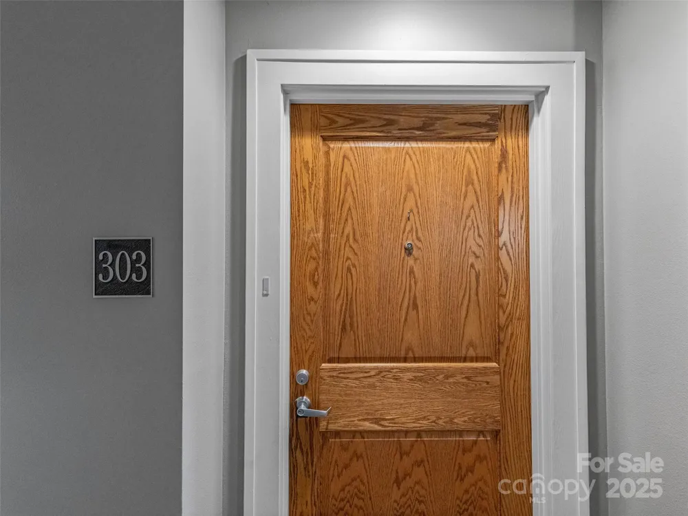 84 W Walnut Street #303 Asheville, NC 28801