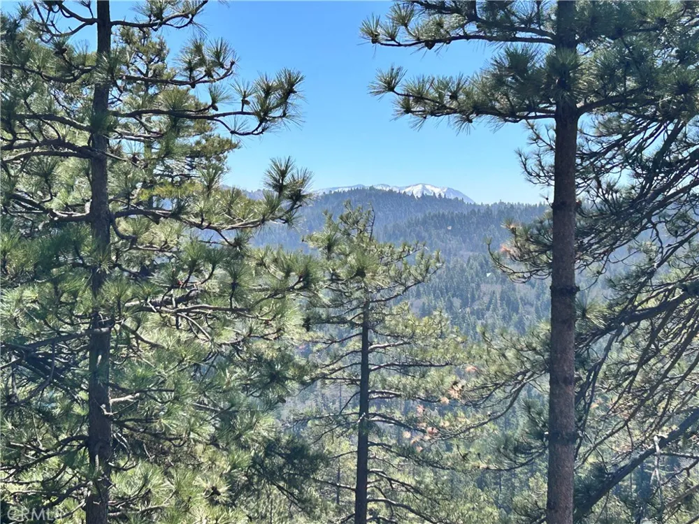 221 Grizzly Road Lake Arrowhead, CA 92317