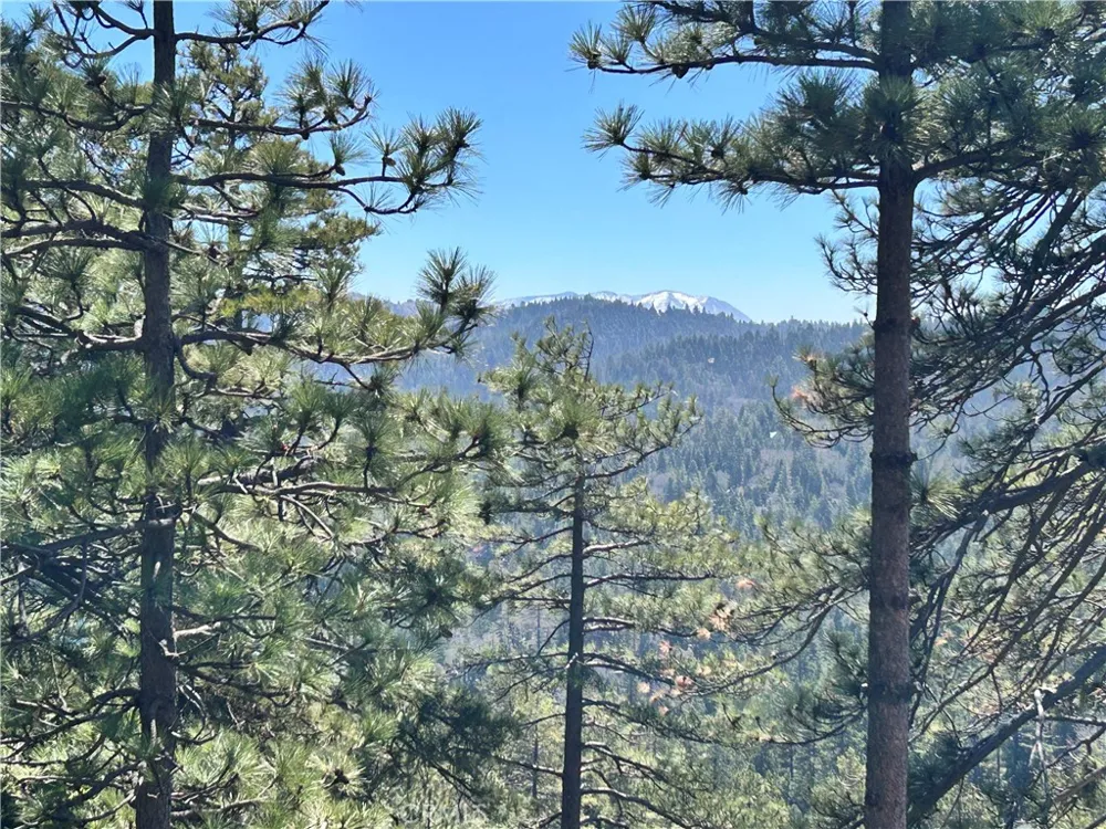 221 Grizzly Road Lake Arrowhead, CA 92317