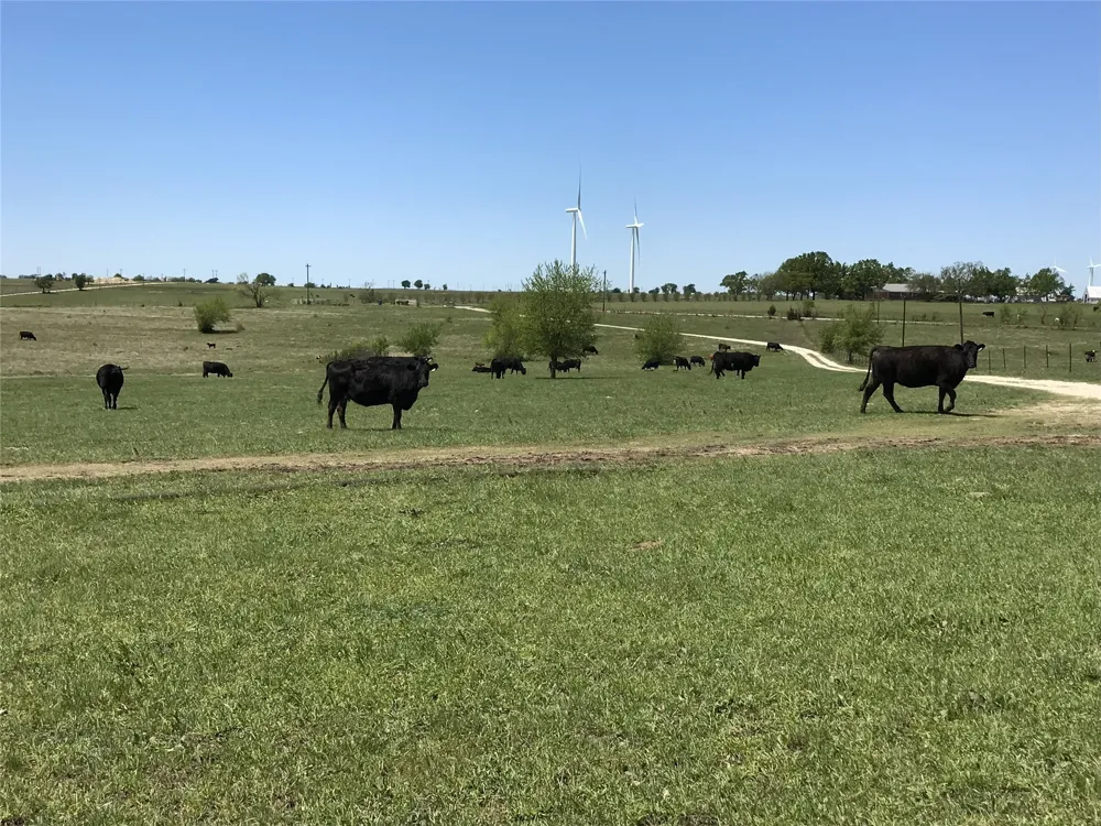 1332 County Road 423 Muenster, TX 76252