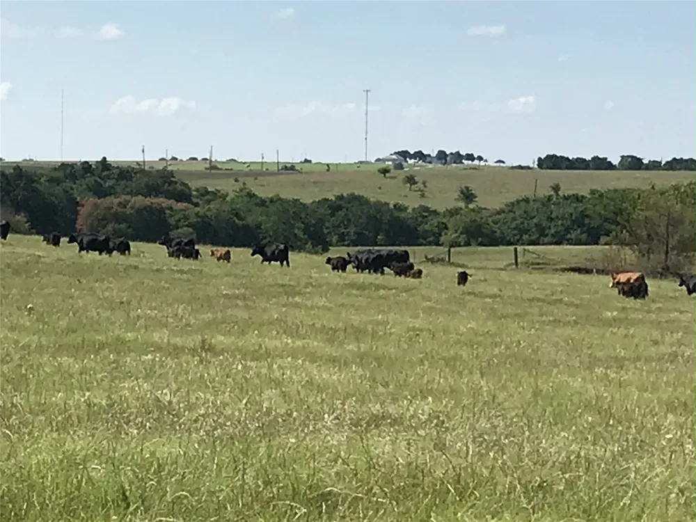 1332 County Road 423 Muenster, TX 76252