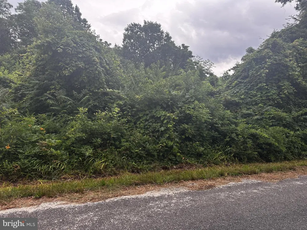 721 LEWIS LANE Heathsville, VA 22473