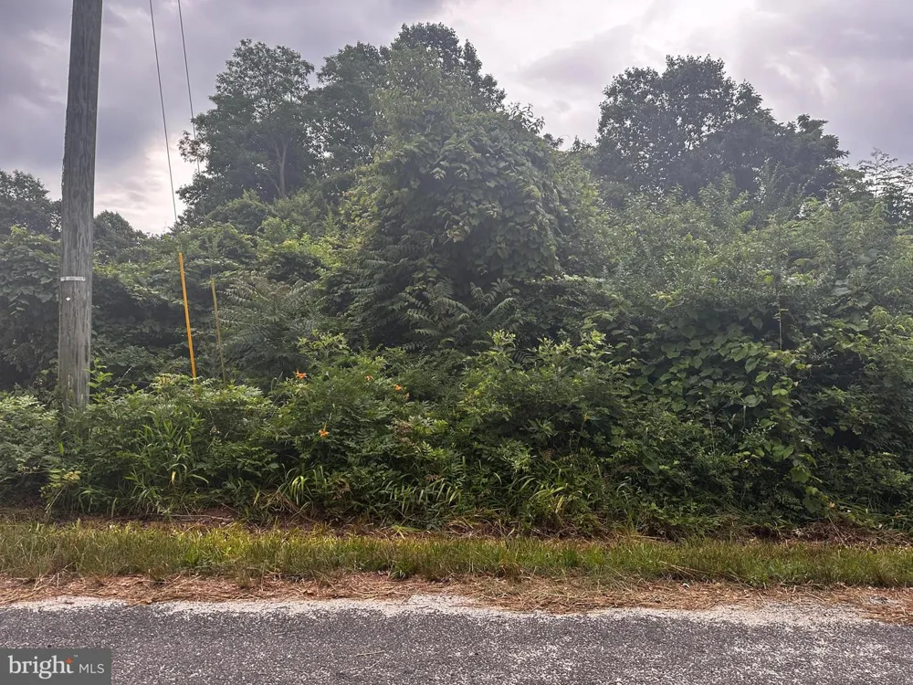 721 LEWIS LANE Heathsville, VA 22473