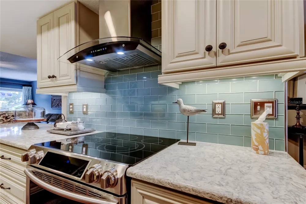 433 PAULA DRIVE S #27 Dunedin, FL 34698