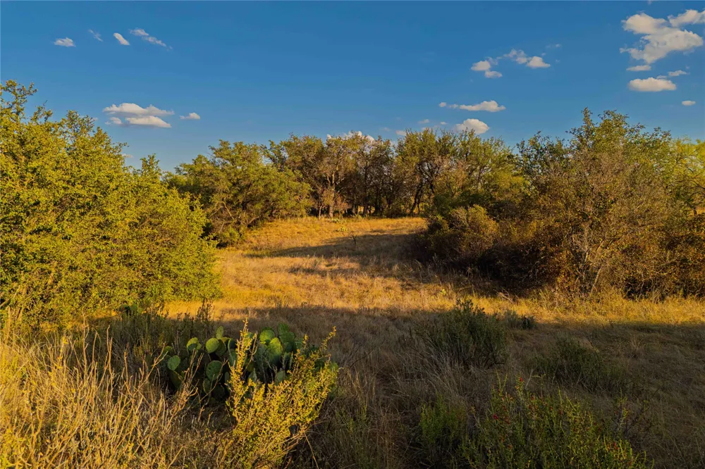 10579 PRIVATE ROAD 3151 Moran, TX 76464