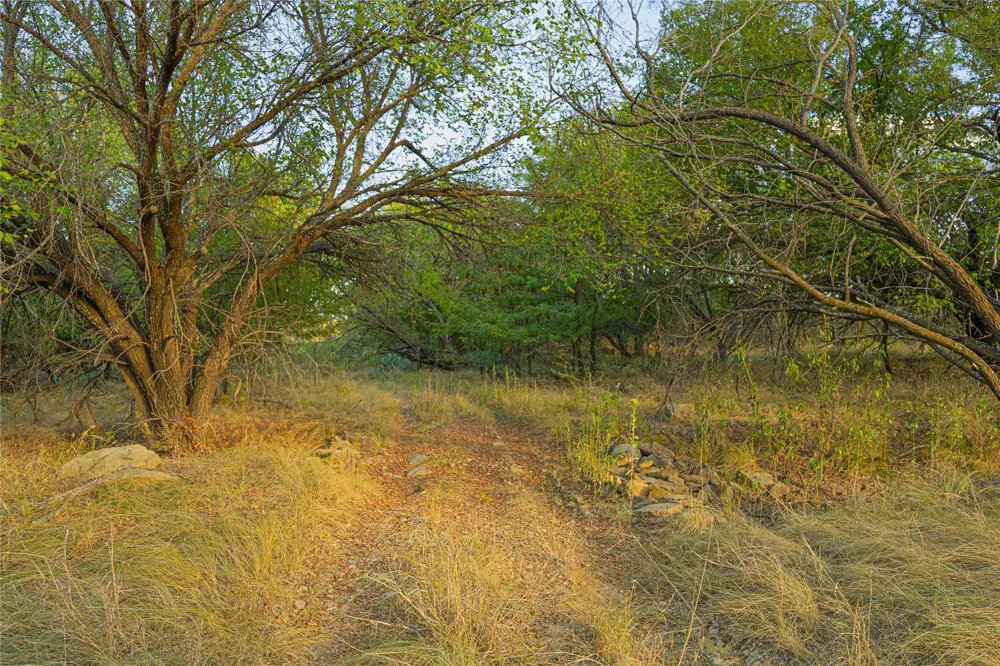 10579 PRIVATE ROAD 3151 Moran, TX 76464