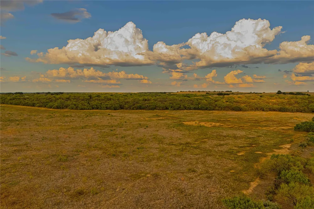 10579 PRIVATE ROAD 3151 Moran, TX 76464