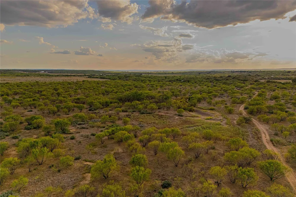 10579 PRIVATE ROAD 3151 Moran, TX 76464