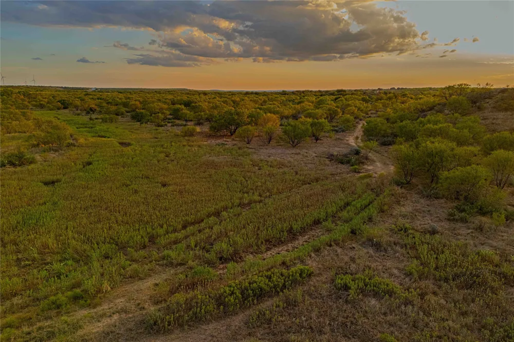 10579 PRIVATE ROAD 3151 Moran, TX 76464