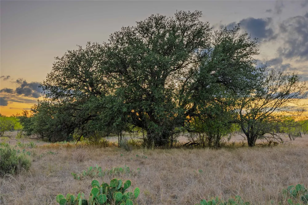 10579 PRIVATE ROAD 3151 Moran, TX 76464