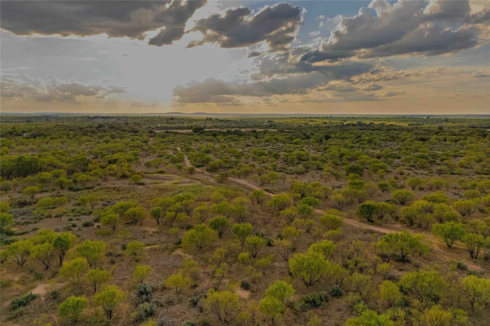 10579 PRIVATE ROAD 3151 Moran, TX 76464