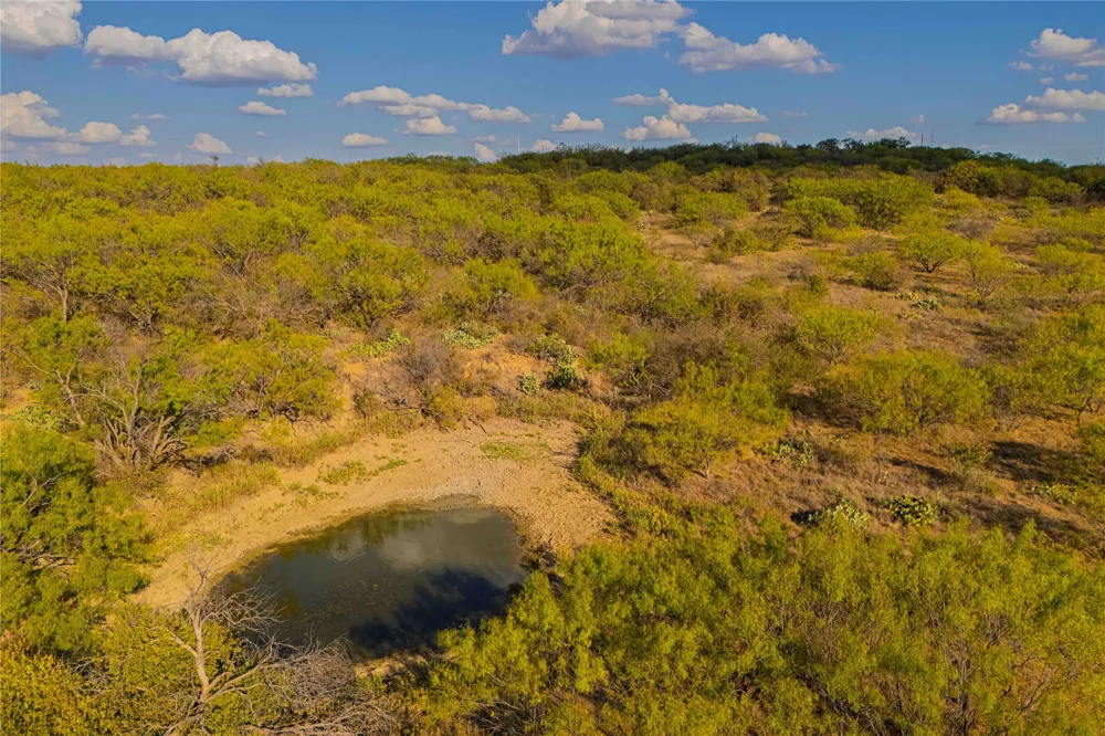 10579 PRIVATE ROAD 3151 Moran, TX 76464