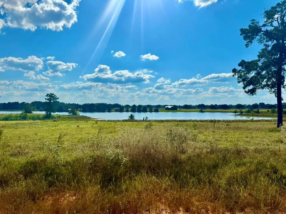 Lakeland Loop Lot 74 Hillister, TX 77624