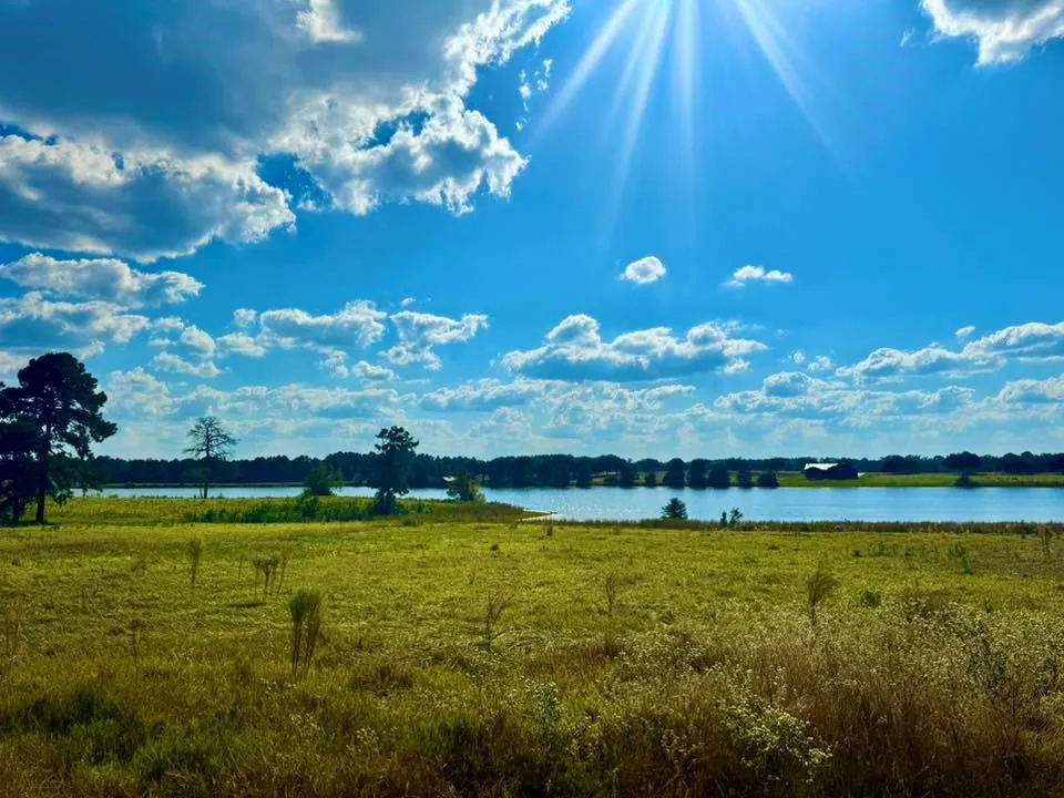 Lakeland Loop Lot 74 Hillister, TX 77624