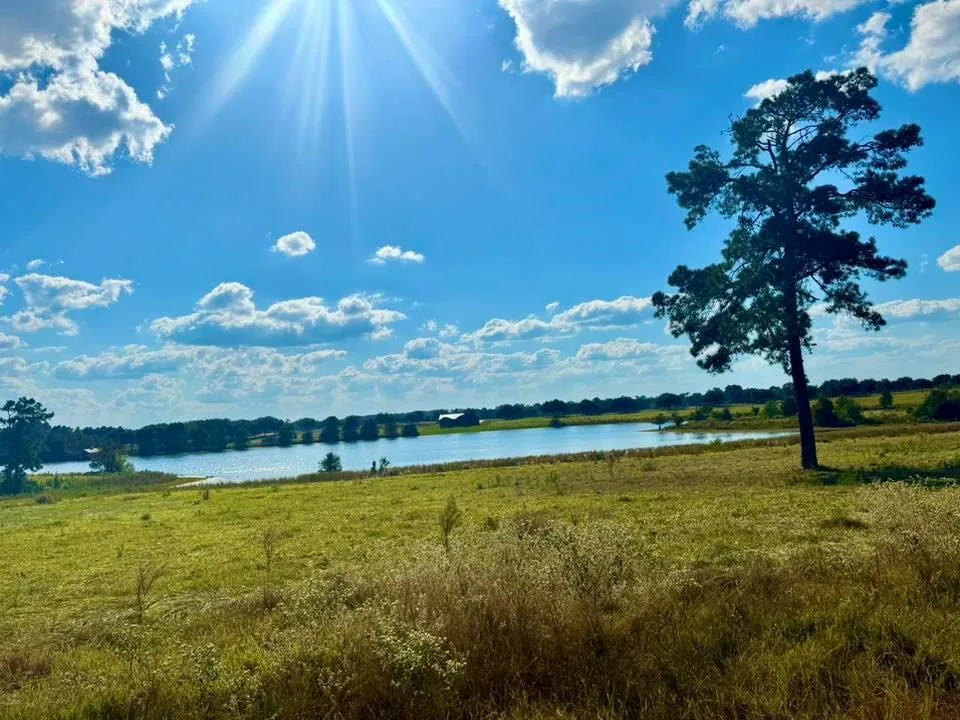 Lakeland Loop Lot 74 Hillister, TX 77624