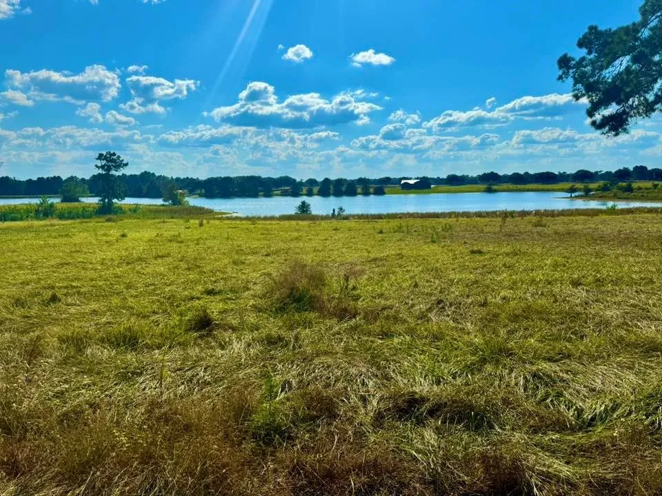 Lakeland Loop Lot 74 Hillister, TX 77624