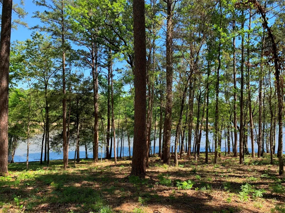 Fm 3506 Chandler, TX 75758
