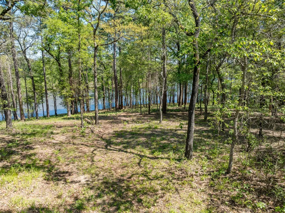 Fm 3506 Chandler, TX 75758