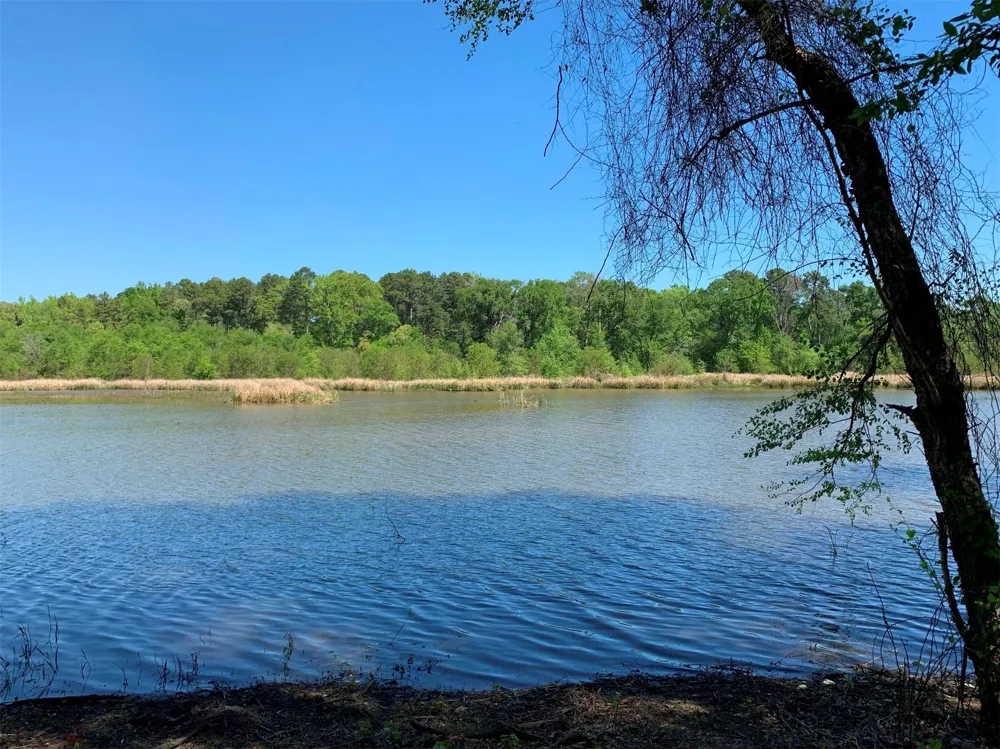 Fm 3506 Chandler, TX 75758