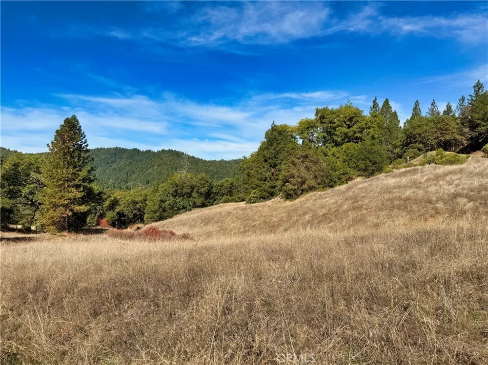 18225 Scenic Drive Redwood Valley, CA 95470