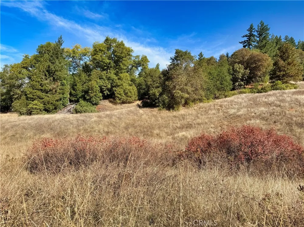 18225 Scenic Drive Redwood Valley, CA 95470