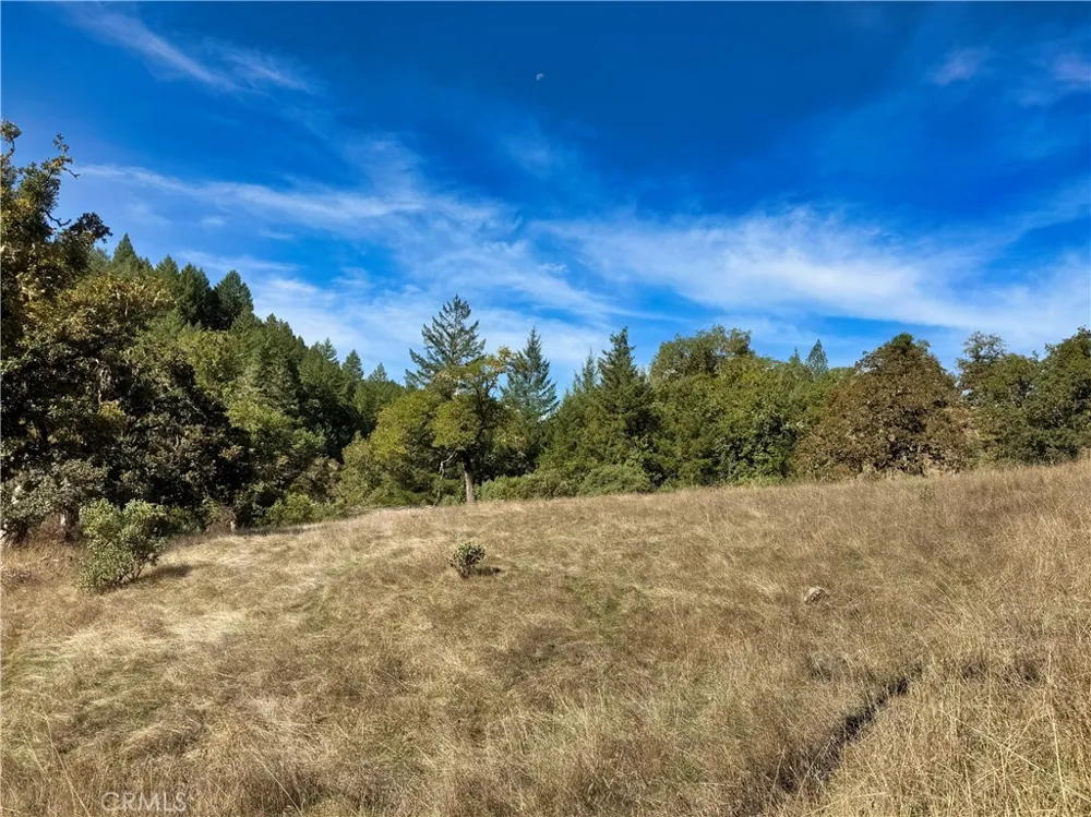 18225 Scenic Drive Redwood Valley, CA 95470
