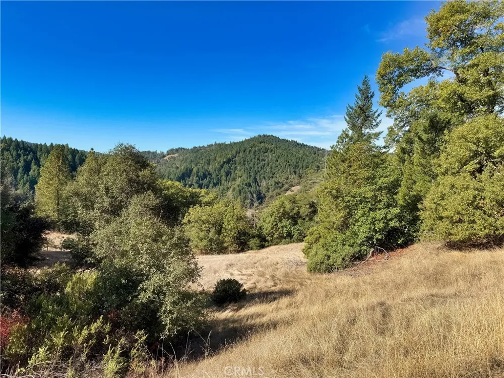 18225 Scenic Drive Redwood Valley, CA 95470