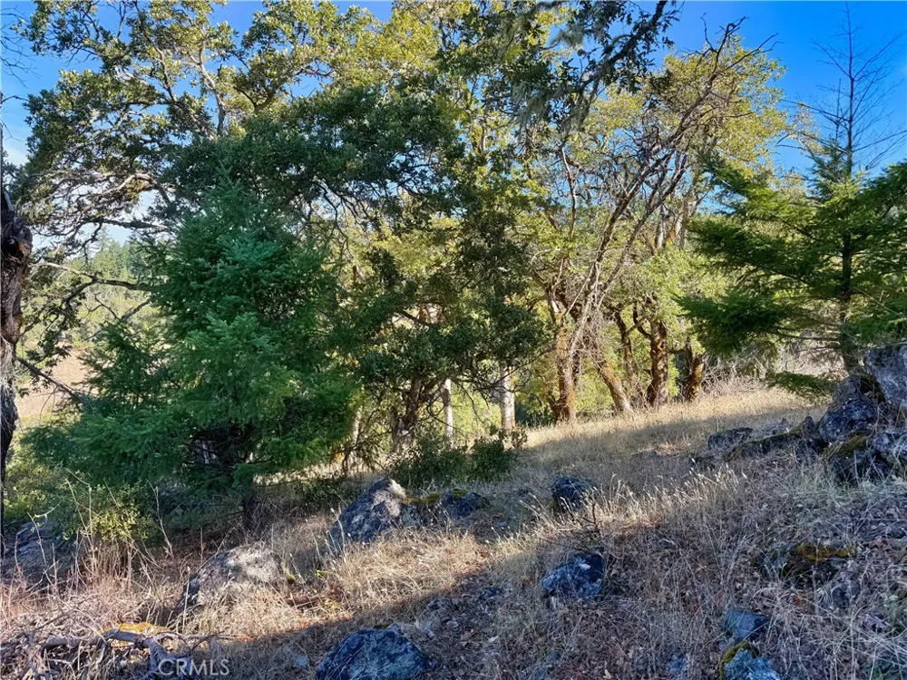 18225 Scenic Drive Redwood Valley, CA 95470