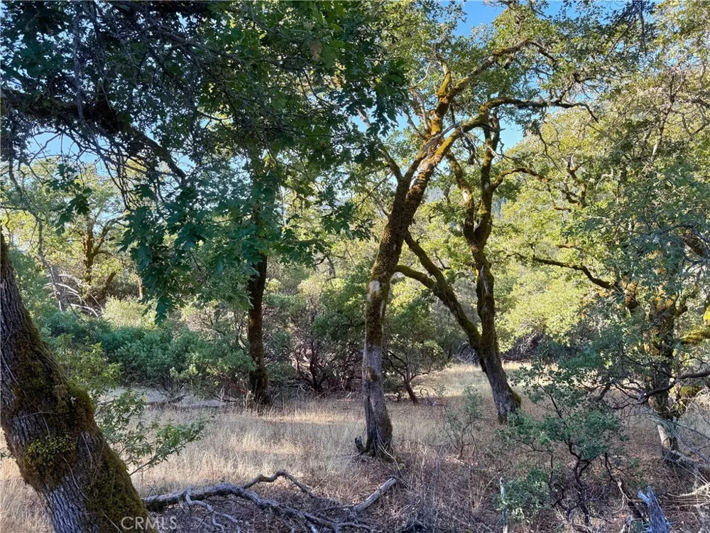 18225 Scenic Drive Redwood Valley, CA 95470