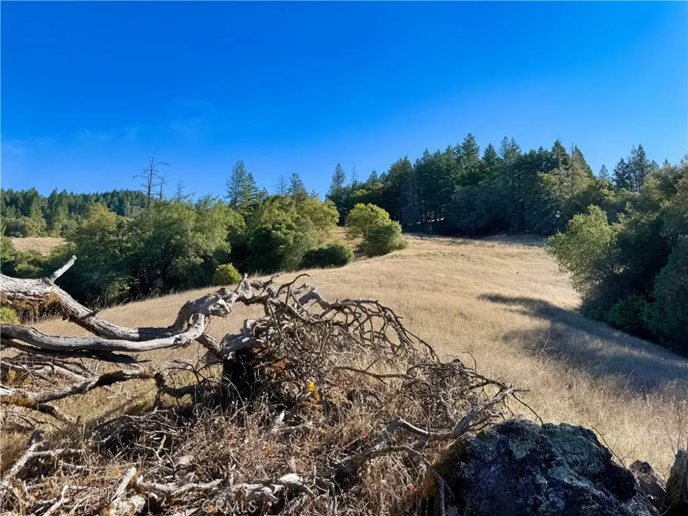 18225 Scenic Drive Redwood Valley, CA 95470