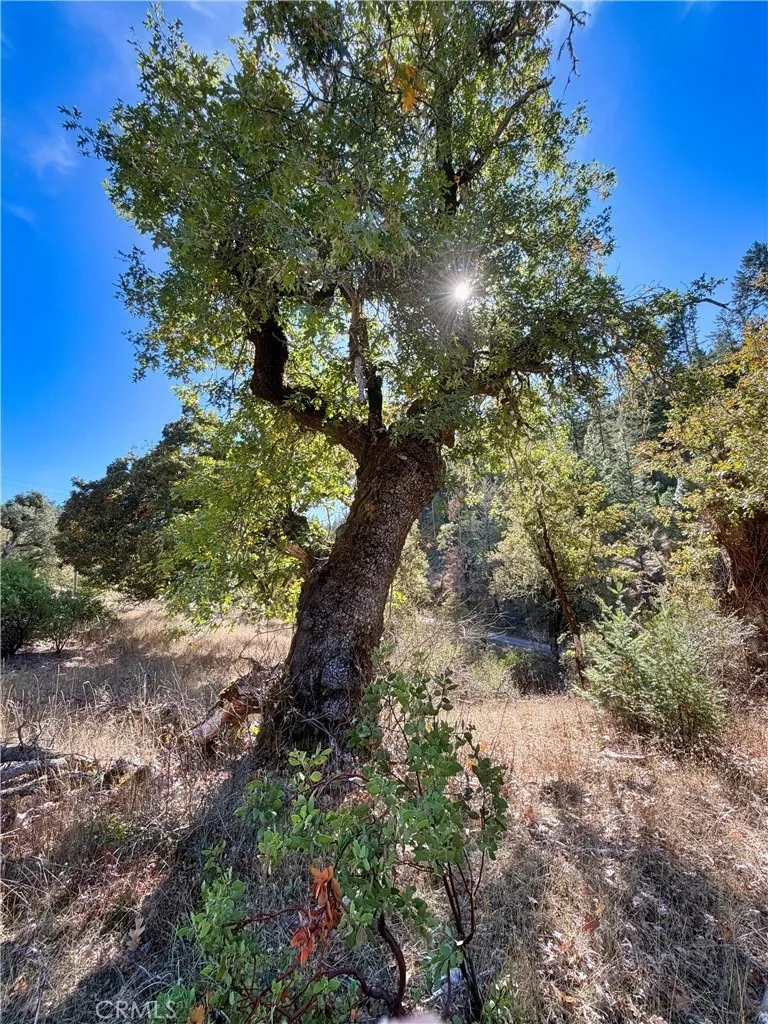18225 Scenic Drive Redwood Valley, CA 95470