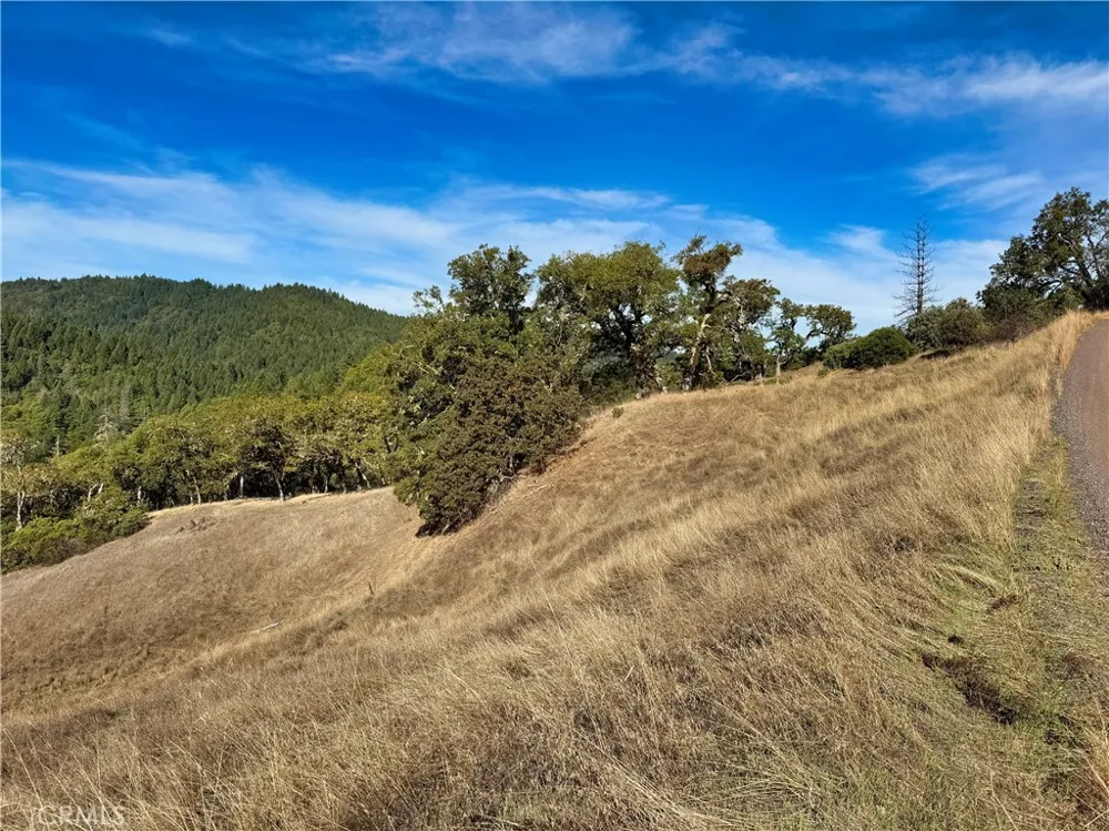 18225 Scenic Drive Redwood Valley, CA 95470