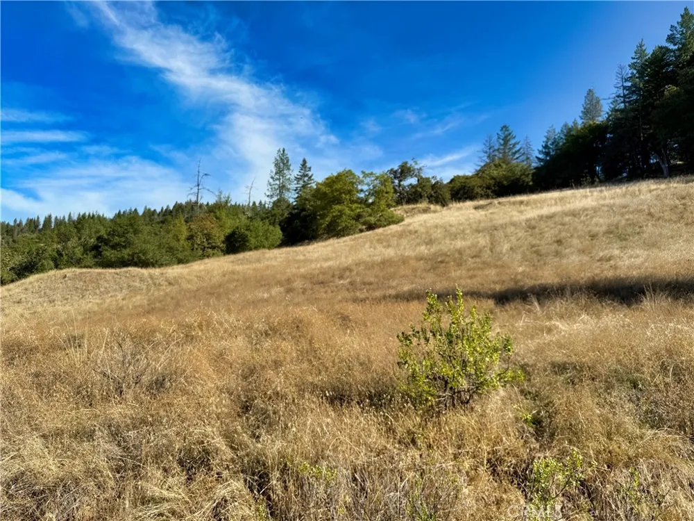 18225 Scenic Drive Redwood Valley, CA 95470